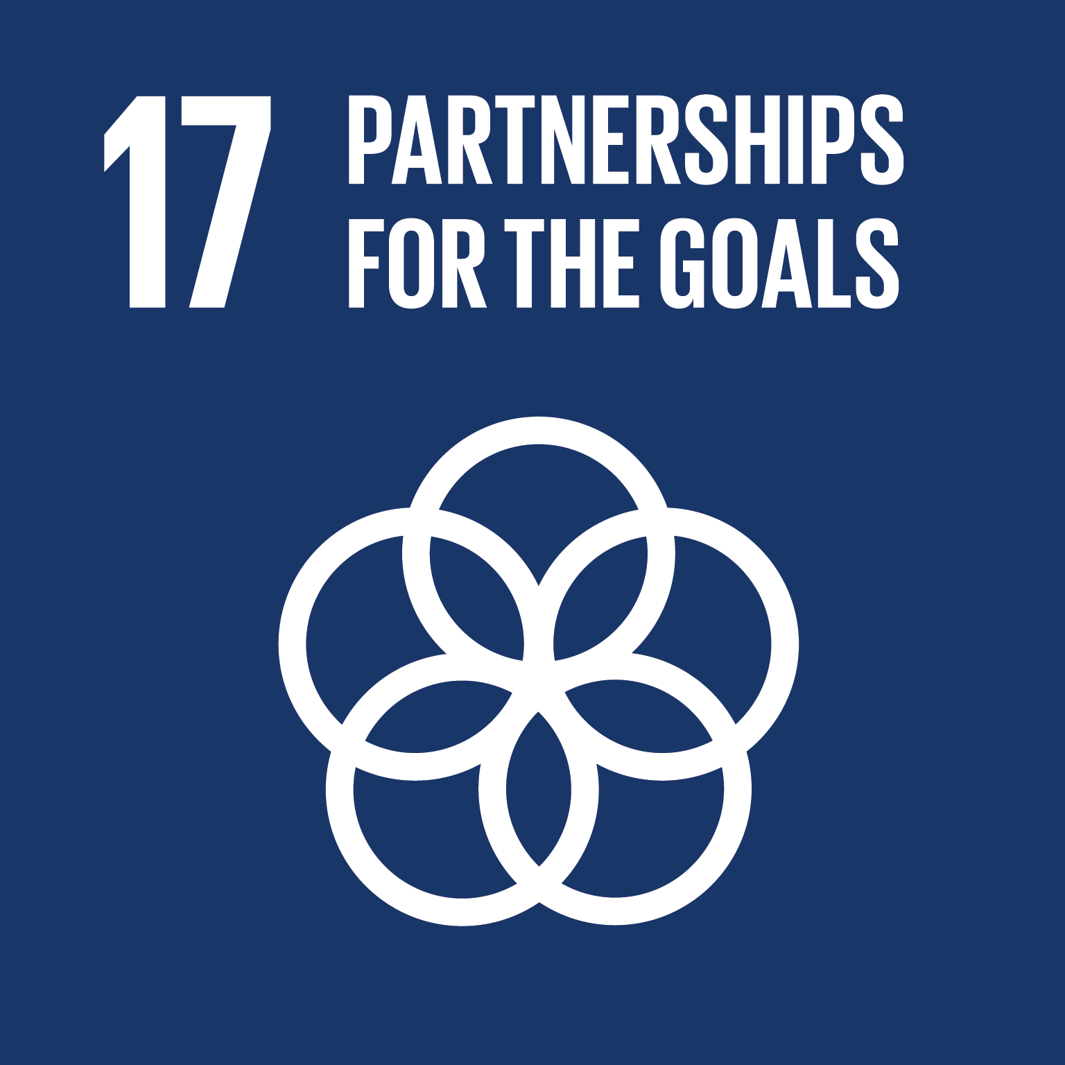 Sustainable Development Goal 17